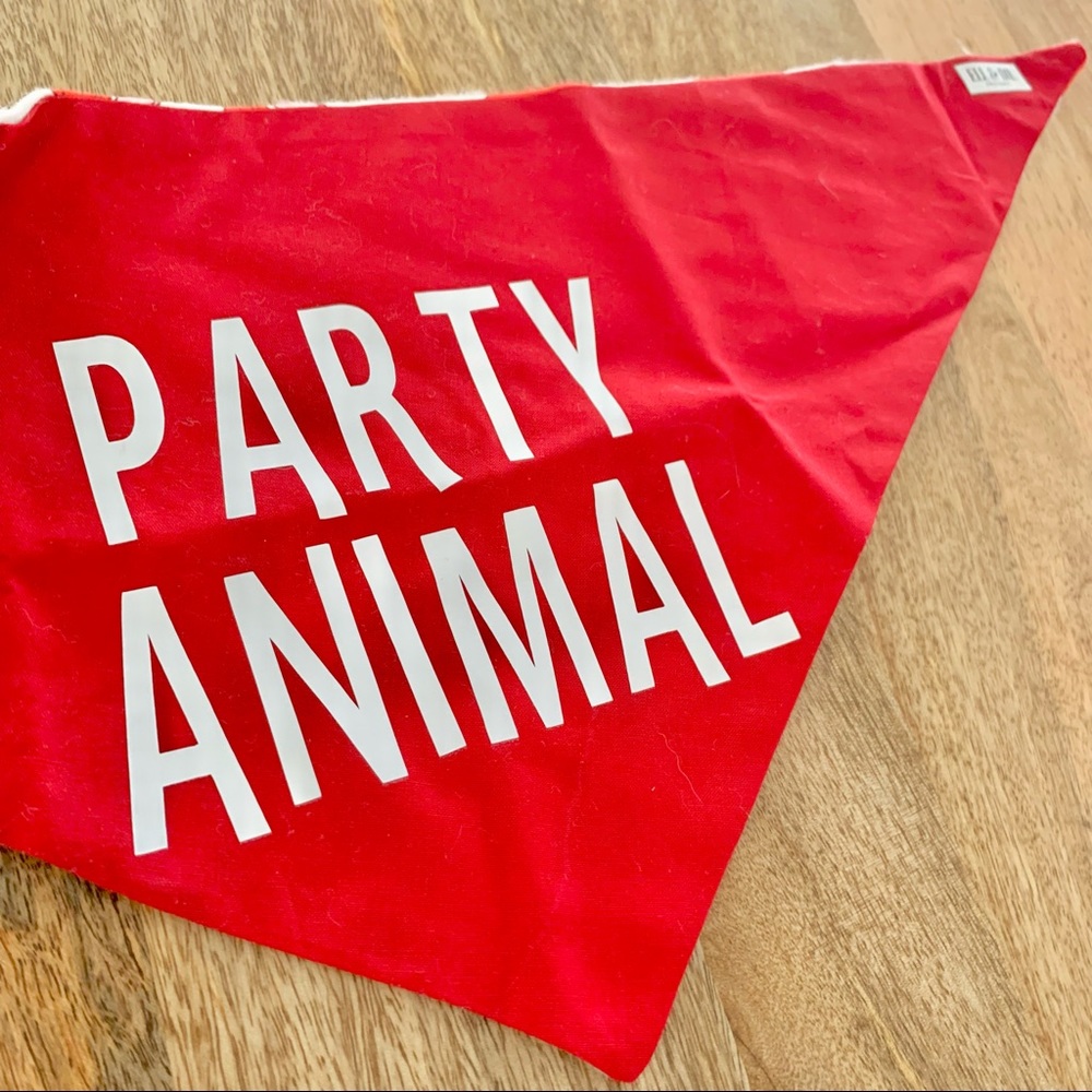 | “party animal” reversible red solo cup dog bandana | - Picture 10 of 10